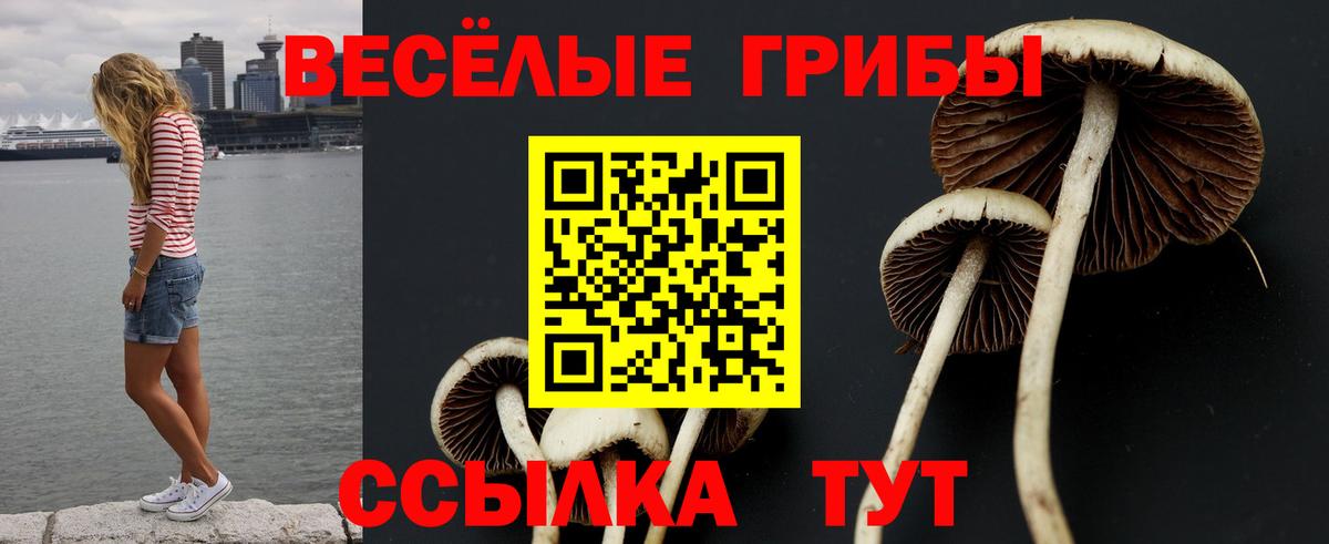 Рассказово  где найти   Вход с VPN  Галлюциногенные грибы MAGIC MUSHROOMS 